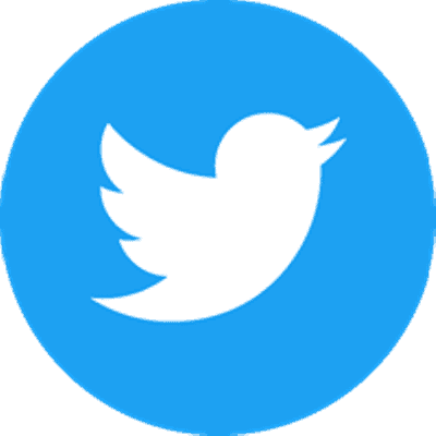 Twitter logo icon